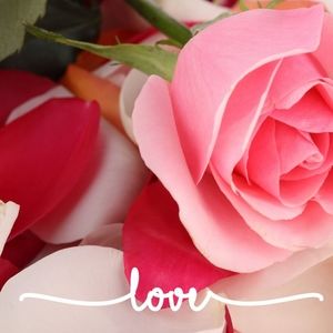 Meet your Posher, Lynne